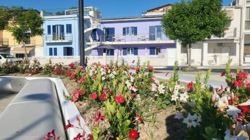 Fronte mare alba chiara - Apulia Houses & Flats - Ecosostenibile !