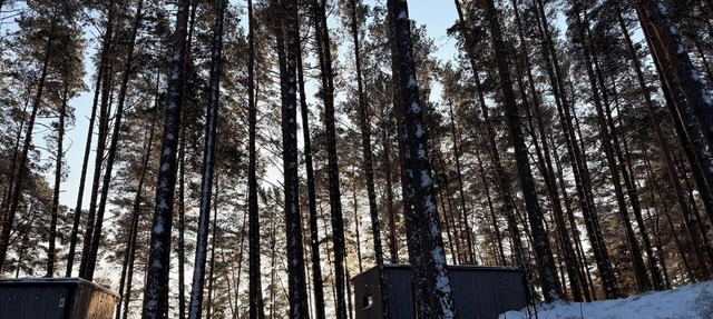 Quiet Lakefront Cabin for Deep Rest & Nature Retreat | Tahana Haven