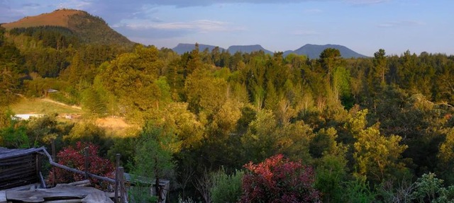 Wild Fox Hill