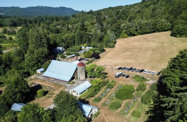 Farm and Forest Eco-Retreat Sanctuary Wild Thyme Farm
