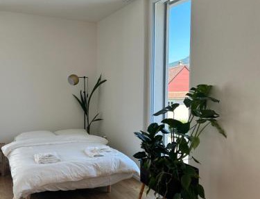 The R Apartment Passwang, Balkon, Kostenloses Indoor-Parking
